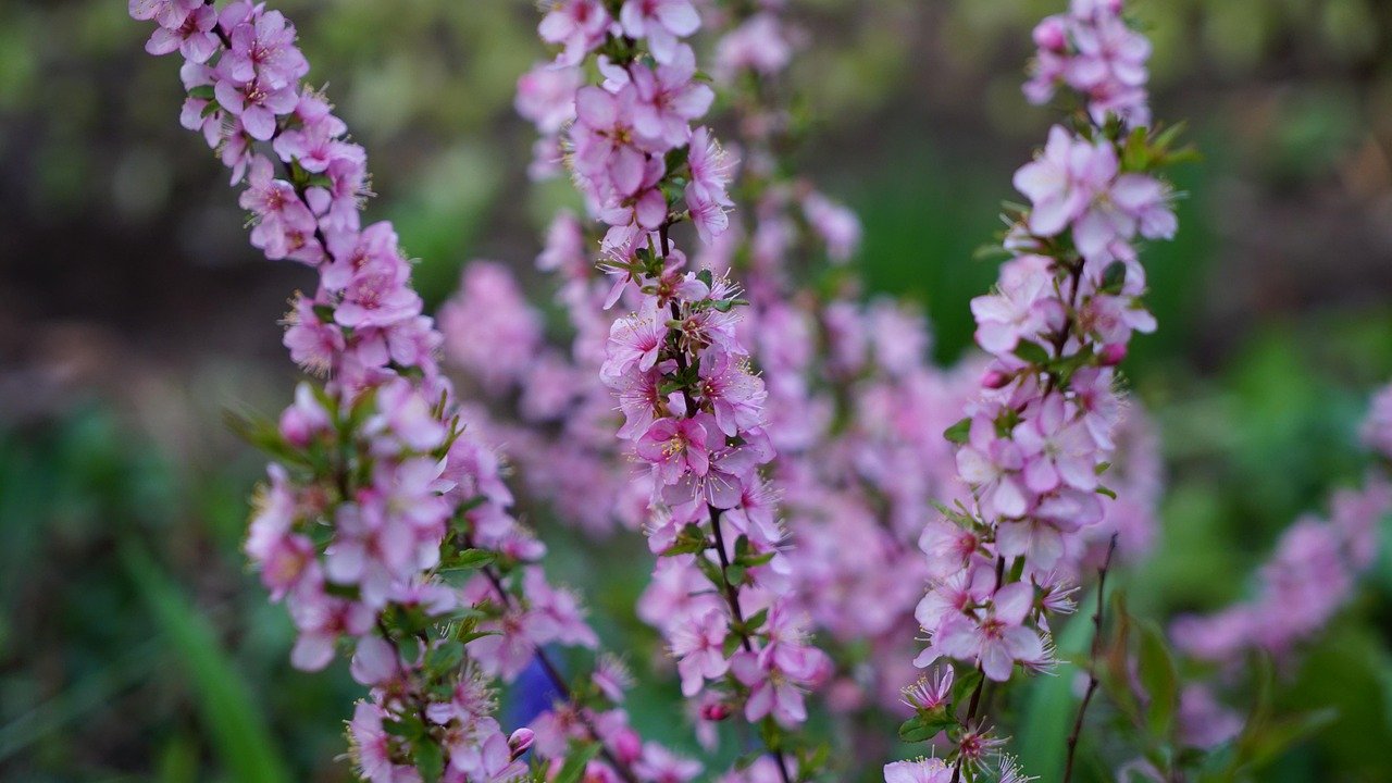 profitez des offres exceptionnelles des soldes de printemps : réductions sur une large sélection de produits pour bien démarrer la saison.