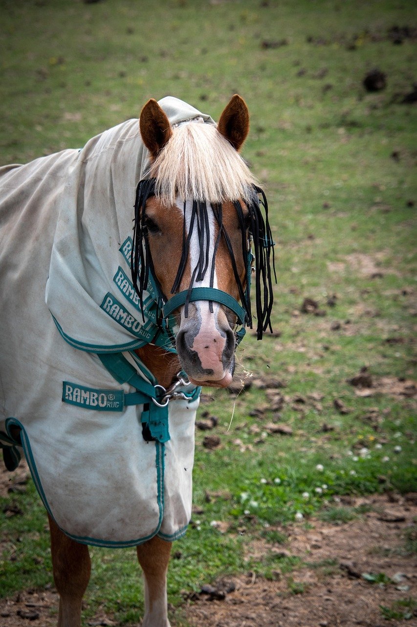 L’eczéma révélé : décrypter les causes cachées de vos démangeaisons