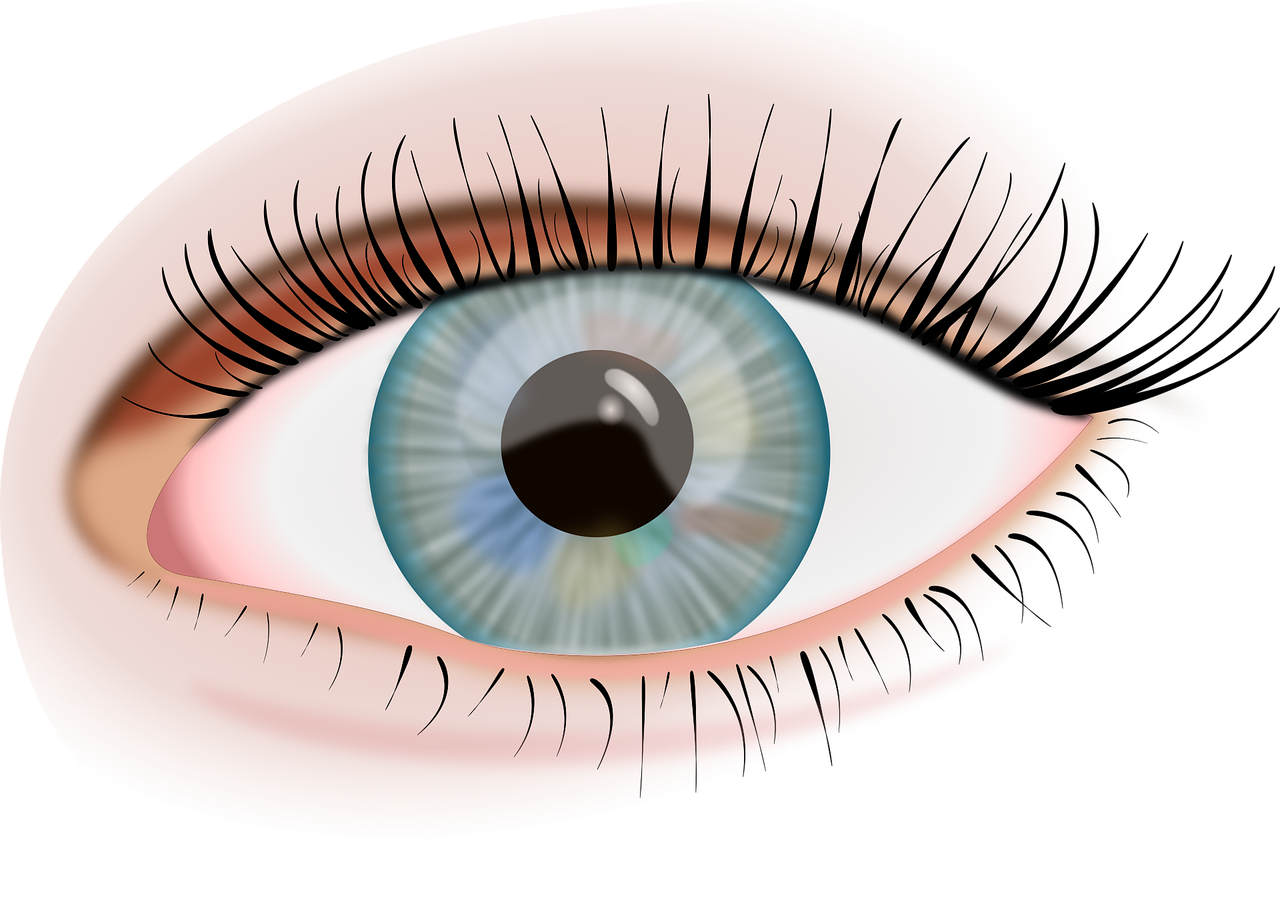 Yeux verts: le guide ultime des couleurs et astuces make-up pour un regard envoûtant
