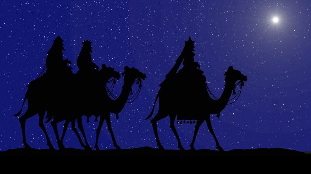 guide complet des bagues pour hommes : styles, matériaux et conseils pour choisir la bague parfaite.