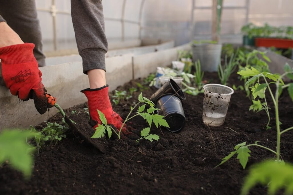 Optimisez votre jardin avec le calendrier lunaire 2024